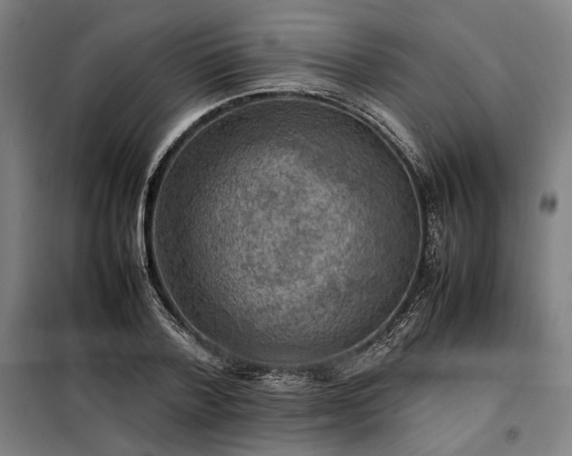 X0000098000788200804021030