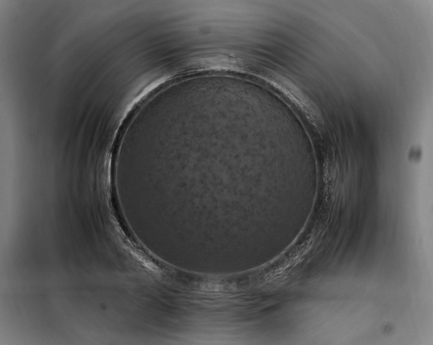 X0000098000790200804021030