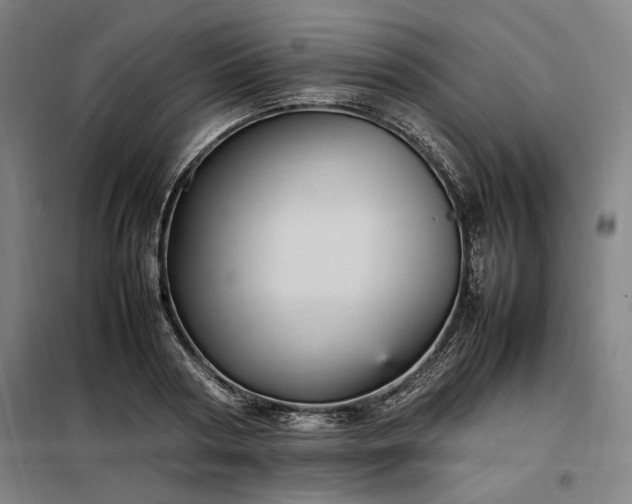 X0000098000794200804021030