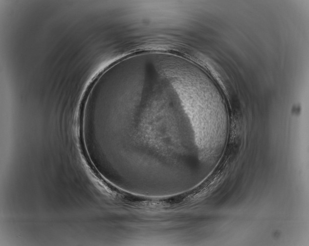 X0000098000795200804021030