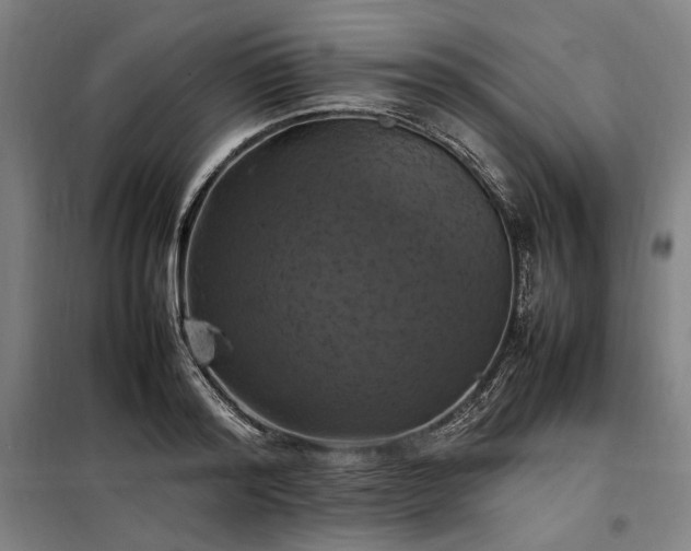 X0000098000796200804021030