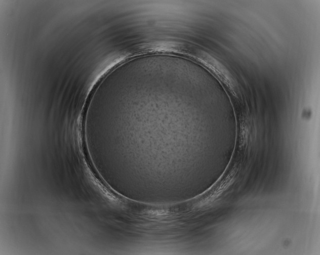 X0000098000798200804021030