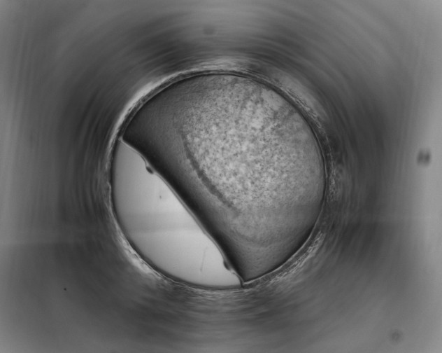 X0000098000800200804021030