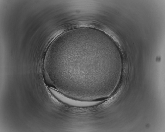 X0000098000801200804021030
