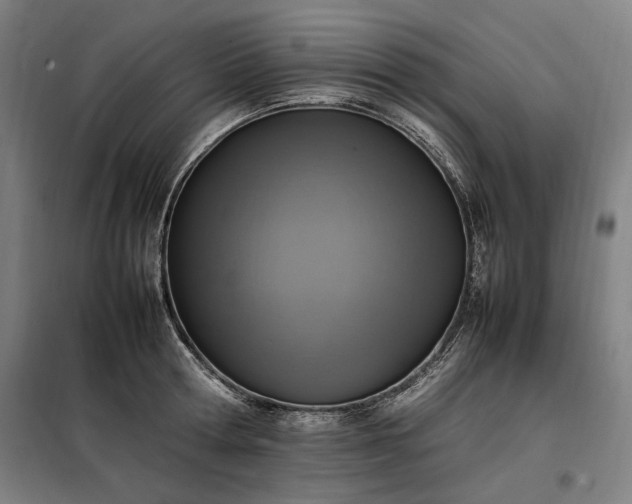 X0000098000802200804021030