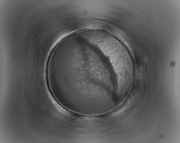 X0000098000803200804021030
