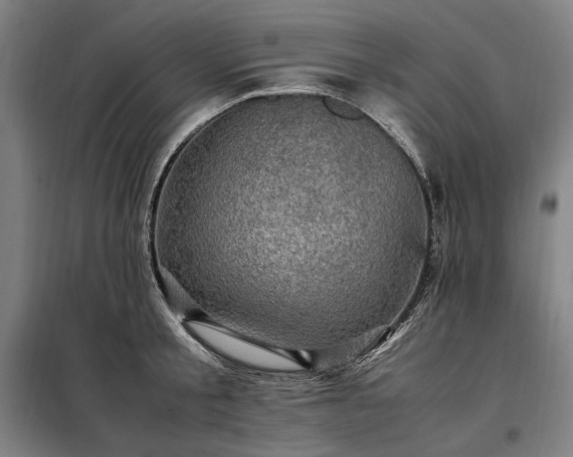 X0000098000805200804021030
