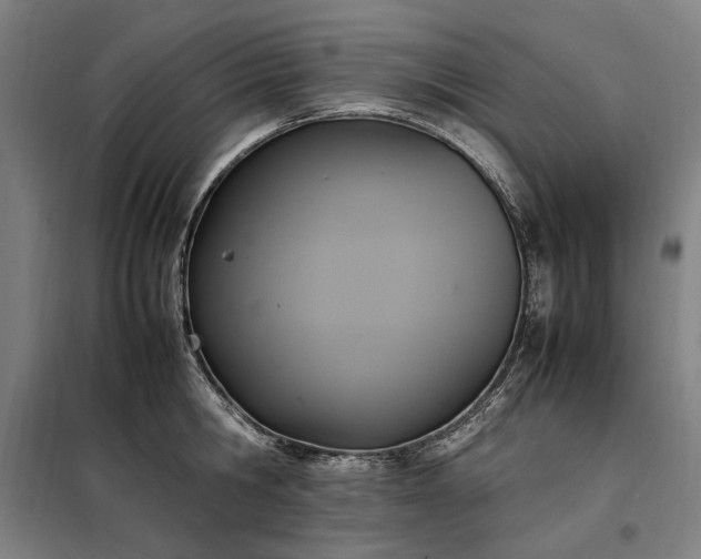 X0000098000806200804021030