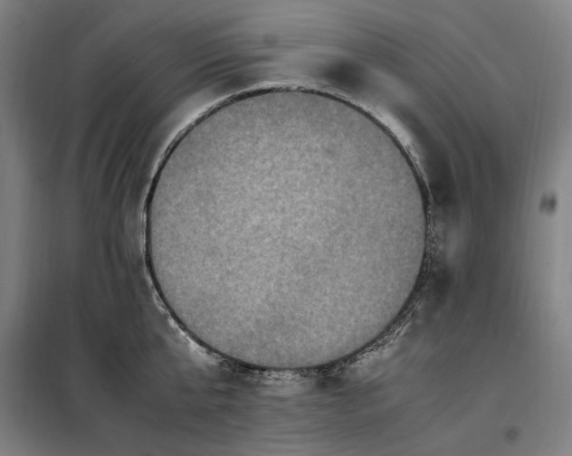 X0000098000807200804021030