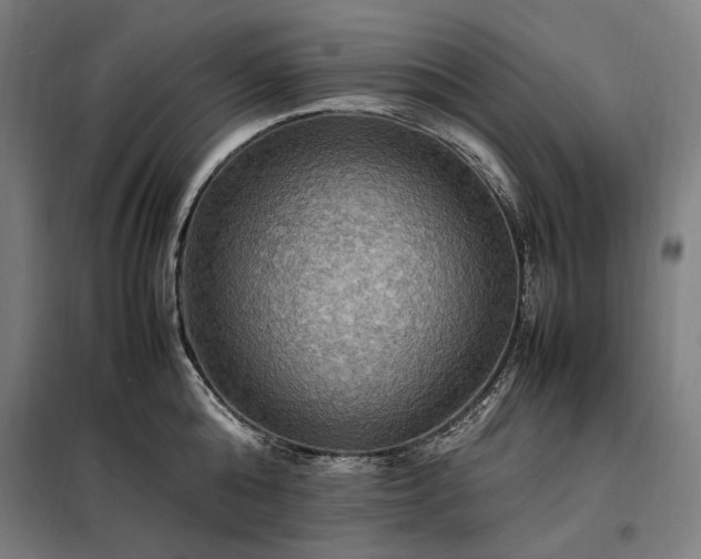 X0000098000808200804021030