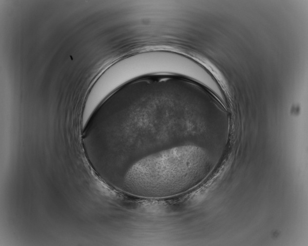X0000098000809200804021030