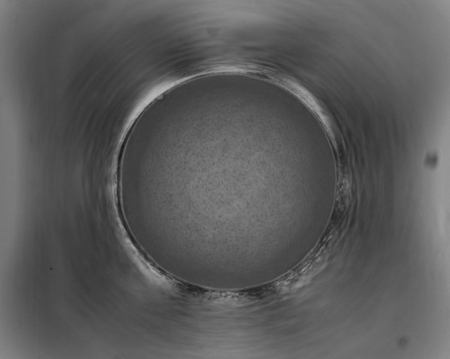 X0000098000811200804021030