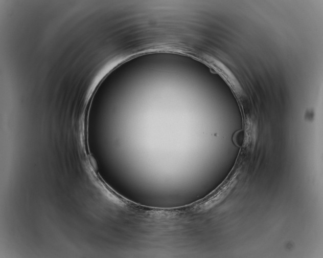 X0000098000812200804021030