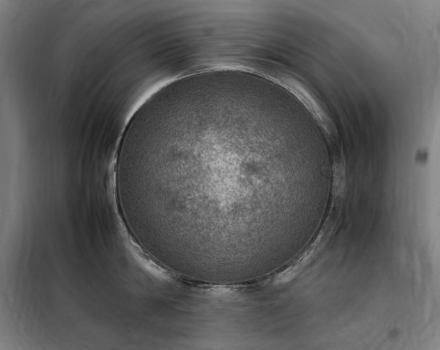 X0000098000814200804021030