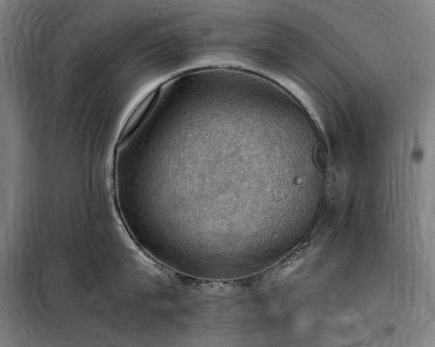 X0000098000815200804021030