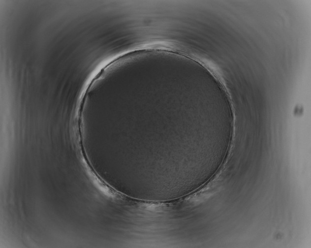 X0000098000816200804021030