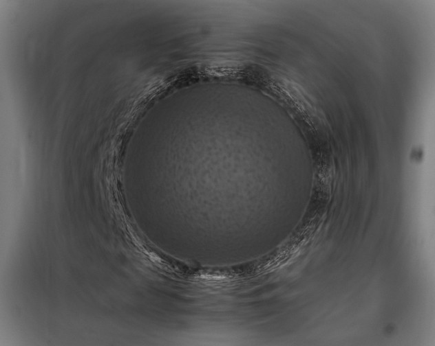 X0000098000817200804021029