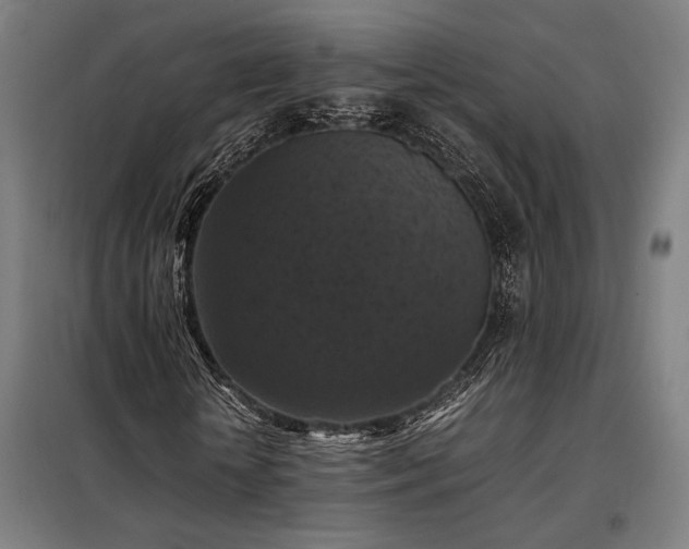 X0000098000818200804021029