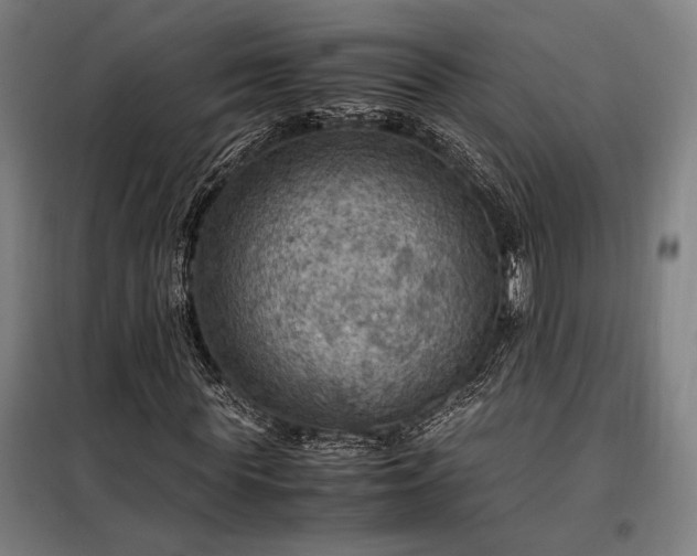 X0000098000819200804021029