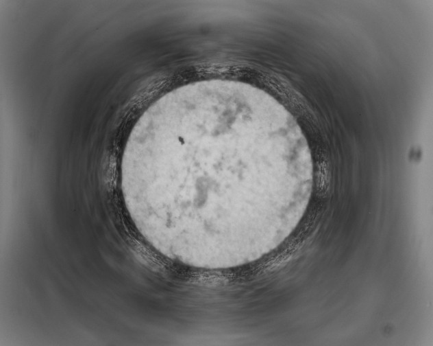 X0000098000820200804021029