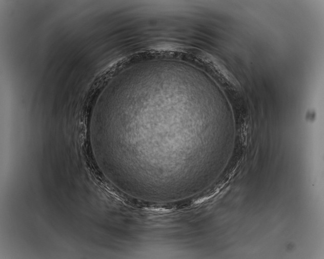 X0000098000821200804021029