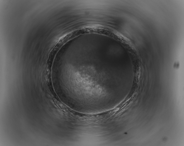 X0000098000822200804021029