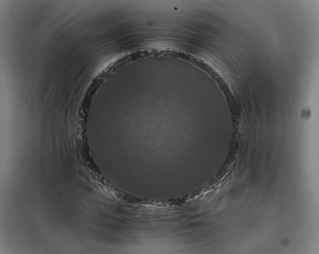 X0000098000823200804021029