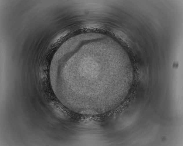 X0000098000824200804021029