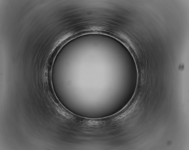 X0000098000827200804021029