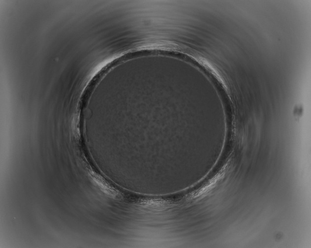 X0000098000830200804021029