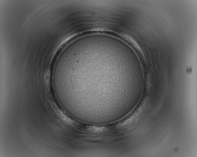 X0000098000831200804021029