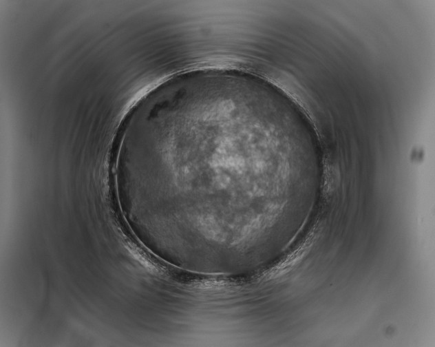 X0000098000834200804021029