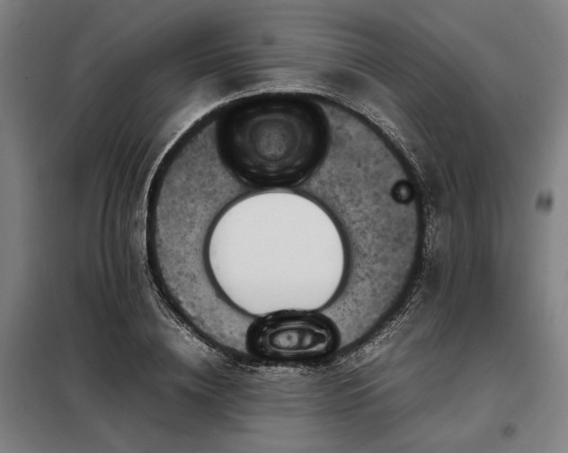 X0000098000836200804021029