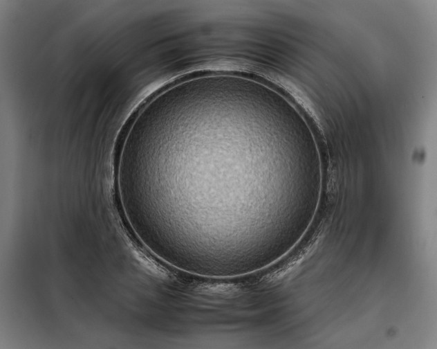 X0000098000837200804021029