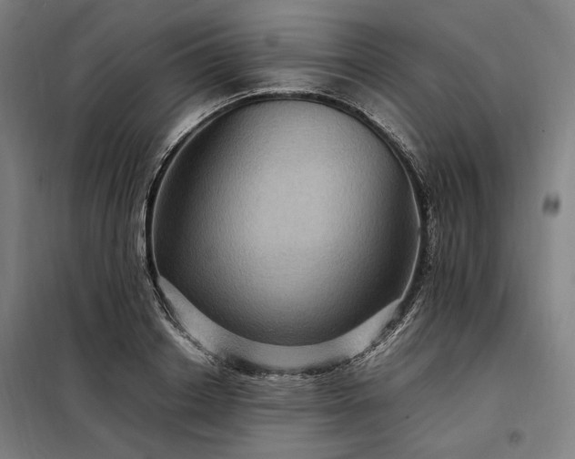 X0000098000842200804021029