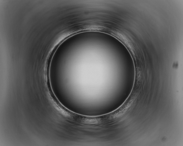 X0000098000843200804021029
