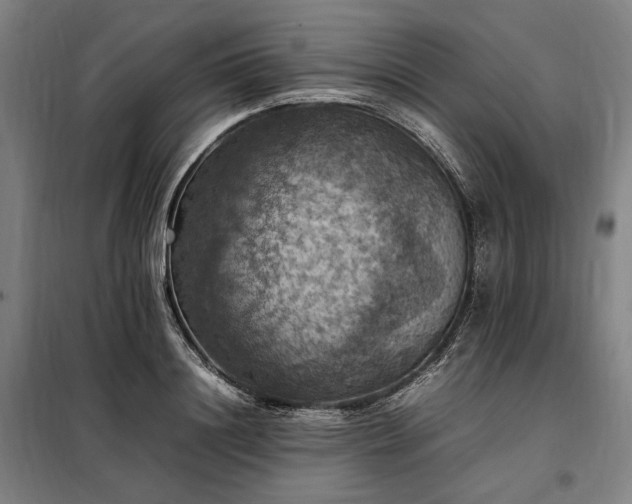 X0000098000844200804021029