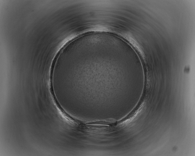 X0000098000845200804021029