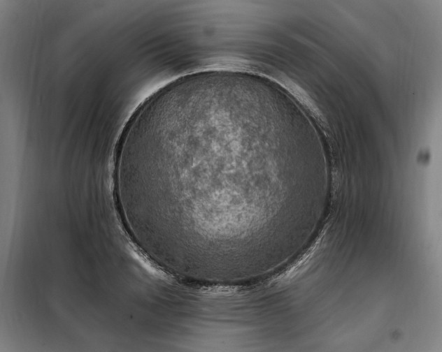 X0000098000846200804021029