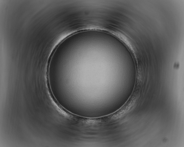 X0000098000847200804021029