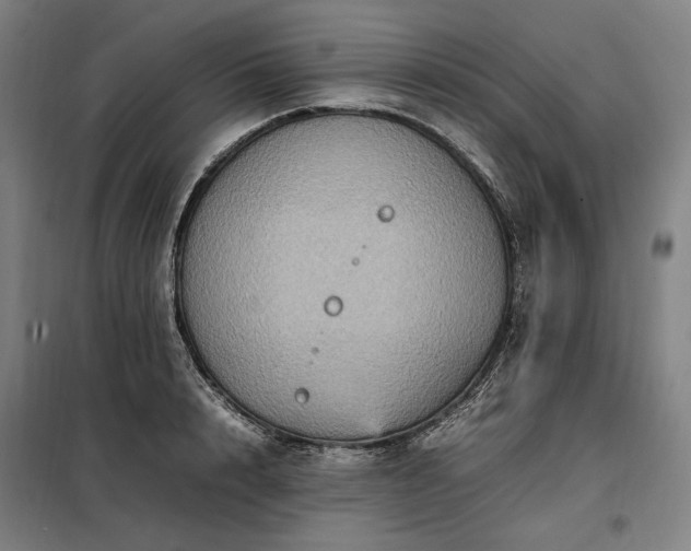 X0000098000848200804021029