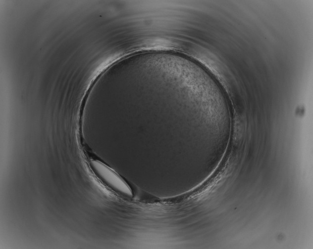 X0000098000850200804021030