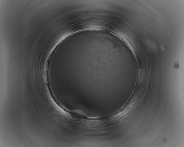 X0000098000851200804021030