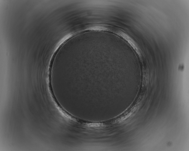 X0000098000853200804021030