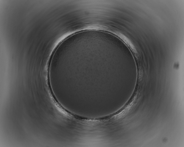 X0000098000854200804021030