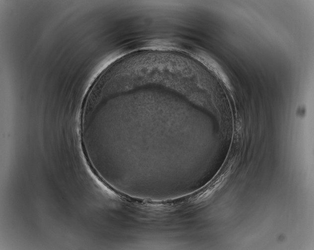 X0000098000855200804021030