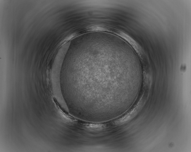 X0000098000857200804021030