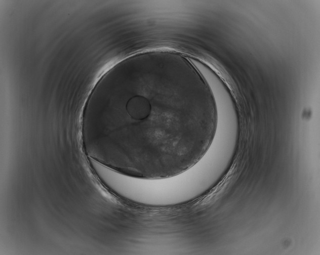 X0000098000858200804021030