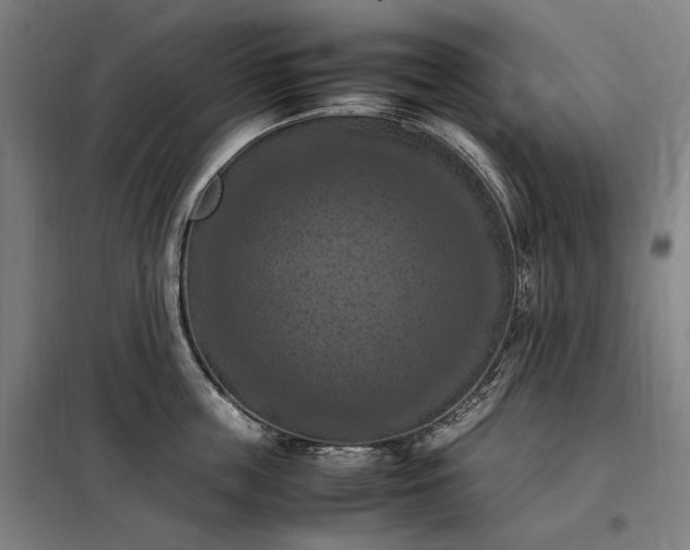 X0000098000859200804021030