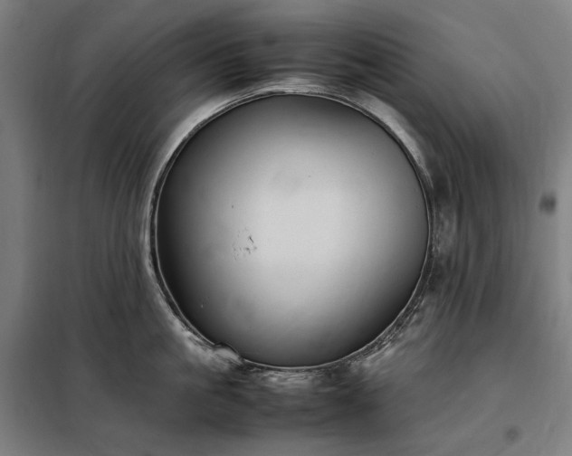 X0000098000861200804021030